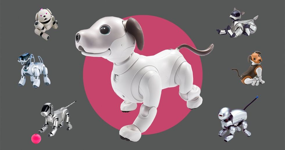 Zen and the Art of Aibo Engineering